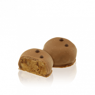 Hazelnut Gudz